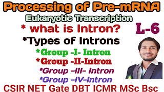 Processing of eukaryotic PremRNA L6 Introns and types of Introns csirtranscription [upl. by Ggerk]