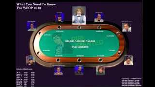 WSOP 2013 Final Table Analysis [upl. by Adlitam]