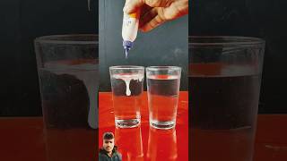 Fevicol and water experiment  experiment science scinceexperiment facts [upl. by Merow]