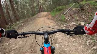 Mt Buller MTB Delatite river trail 1 of 6 [upl. by Aisauqal]