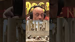 Joe Rogan Stunned By Parthenon  Greece joerogan joeroganexperience jre ancient [upl. by Ynitsed]