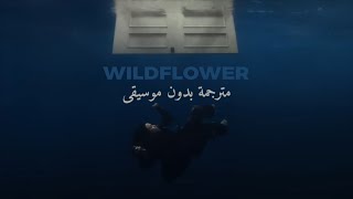 Billie Eilish  WILDFLOWER بدون موسيقى  مترجمة  Vocals Lyrics Video [upl. by Popper]