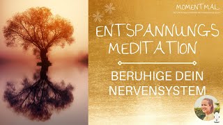 Meditation für Tiefenentspannung  Beruhige dein Nervensystem  Anspannung loslassen amp Kraft tanken [upl. by Dewhurst831]