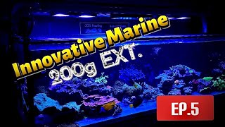 Innovative Marine 200 Gallon EXT Episode 5 July 2024 ​update ​⁠ [upl. by Earlene]