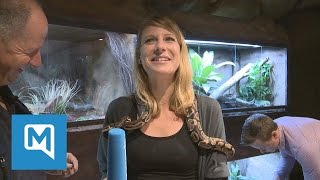 Vogelspinnen und Königspythons Das ist die neue Entdeckerhöhle im Münchner Tierpark Hellabrunn [upl. by Eilrac]