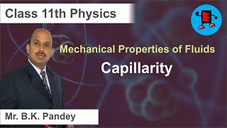 CBSE Class 11 Physics Mechanical Properties of Fluids Capillarity Extraminds [upl. by Wendolyn]