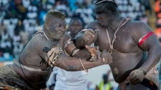 Senegalese Wrestling knockout Gris Bordeaux Malick Niang les Lutteurs Boxeurs Champions des KO [upl. by Alyag]