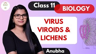 Class 11  Virus Viroids amp Lichens  NCERT [upl. by Dustman]