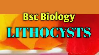 Lithocysts Plant Tissue  Bsc Biology  Lectures24 biology tissue debasish debasishsiredukasi [upl. by Enra690]