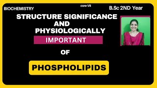 Structure And Physiologically Important of Phospholipids BSc 2nd Yearlipids phospholipids [upl. by Orsino]