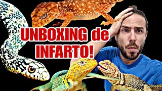 UNBOXING de ESPECIES ALTAMENTE BRUTALES REPTILES HIGH LEVEL Con cual os quedais 🐍🦖🐸🐉 [upl. by Akihdar]