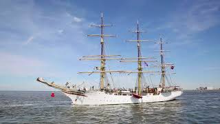 Harlingen Sail Out Tall Ship Races 6 augustus 2018 Alkmaarnieuwsnl [upl. by Aisat911]