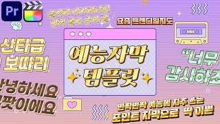 프리미어프로 반짝 반짝 예능 자막 템플릿  파이널컷프로 [upl. by Rebbecca]