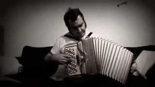 Down in a Hole  Alice in Chains  Accordiongrungecover by swissdaddycool [upl. by Ailefo311]