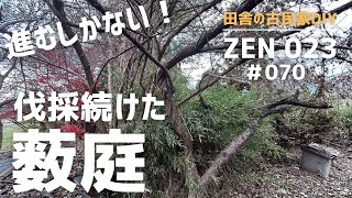 【実家の開拓＆DIY】開拓し続け藪だらけの庭が徐々に開ける！ [upl. by Ettelegna]