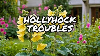 What Happened to My Hollyhocks [upl. by Hook]