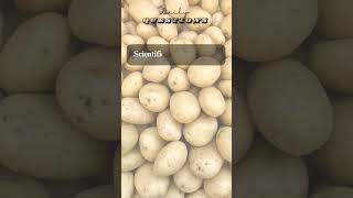 Scientific name of potato agriculture shorts potato scientificname [upl. by Davida]