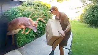 Best Delivery Driver Videos of the Decade [upl. by Htenaj416]