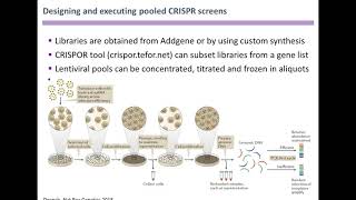 Genomewide CRISPR Screens in Primary Human T Cells Reveal Key Regulators of Immune Function [upl. by Kilar]