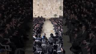 Belzer Yeshivah Bochrim singing ‘Ani Maamin’ at the Kosel on Motzei Tisha B’av Belaaz News [upl. by Roti]