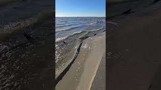 Waves at Canton Lake Oklahoma nature beach outdoors water sand [upl. by Munn969]