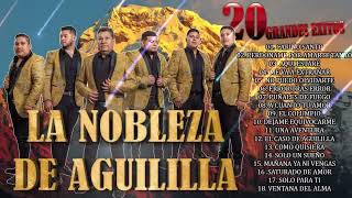 La Nobleza De Aguililla Mix Éxitos 2024🔥Las Mejores 20 Canciones de Tierra Caliente de La Nobleza🔥 [upl. by Amalburga]