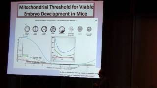 Autologous Mitochondrial Injection to Improve Oocyte Quality  Kutluk Oktay [upl. by Ahsinrev]