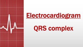 QRS complex Electrocardiogram [upl. by Enyamart]