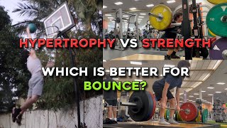 Hypertrophy VS Strength Training For Your Vertical Jump [upl. by Bria634]