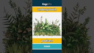 🇬🇧🇸🇰 undergrowth  podrast  vocabulary builder  learn English  naučme sa anglicky [upl. by Aicilra]