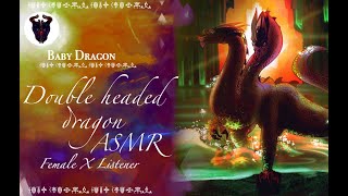 Double headed Dragon ASMR [upl. by Srini330]