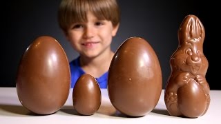 Toys in Chocolate Surprise Eggs  Kinder Surprise Toys  Family Play [upl. by Mathews577]