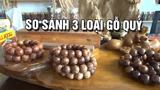 Top 3 Loại Gỗ Quý Được Săn Đón  So Sánh 5 Tiêu Chí Quan Trọng Xem Ngay [upl. by Yelreveb503]