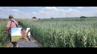 A recent visit to Rspb Rainham marshes [upl. by Eydie]