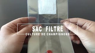 Sac de graines de champignons filtrées  Cultiver des champignons à la maison [upl. by Dace]