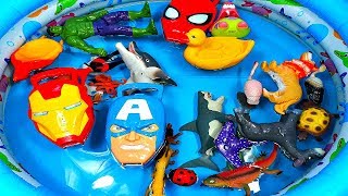 Animals Farm Toys Baby Find Mom  Learm Animals Names for Kids  Toys Video [upl. by Kitchen]