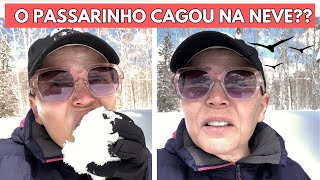 PORQUE NÃO DEVE COMER NEVE 😂😂😂 FÉRIAS EM UTAH 😍 [upl. by Nishom]