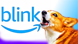 Blink Doorbell Sound for dogs [upl. by Kcirdderf]