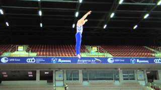 Steven Gluckstein  Optional Routine  2013 World TampT Championships  Qualification [upl. by Els]