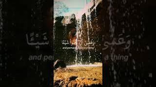 beautiful recitation of surah baqarah by sheikh yasseraldousari yasseraldosari القرآن fyp [upl. by Gardell]