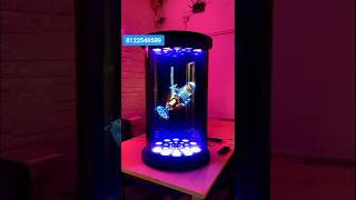 Hologram HoloTube New product Launch Product Display 8122540589 Bangalore Mumbai Hyderabad India [upl. by Arutak]