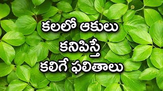 Aakulu Kalalo Kanipisthe  Leaves In Dreams  Kalalu Vati Phalithalu  Laxmi Devotional [upl. by Alel]