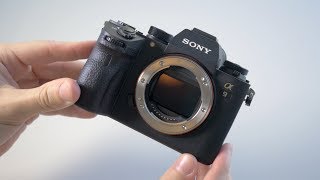 Sony A9  Review and Sample Photos [upl. by Aynas]