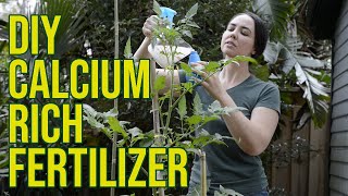 DIY Water Soluble Calcium Fertilizer Using Eggshells and Vinegar [upl. by Anayk]