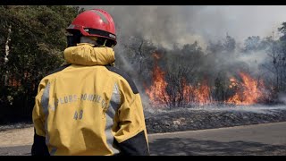 Incendie en Gironde  ce que lon sait de lincendie près de Landiras qui a ravagé 6 000 hectares [upl. by Natye]