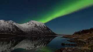 Northern Lights in Lofoten  Aurora Borealis in the Lofoten Islands Norway [upl. by Brownson]