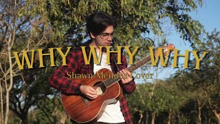 Why Why Why  Shawn Mendes Kauã Pires Cover [upl. by Aleihs]