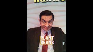 HOW TO GROW BROAD BEANS  MY FIRST ALLOTMENT UK [upl. by Shulamith136]