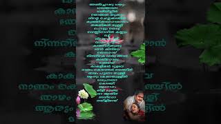 Chempoove Poove Song Kaalapani Chemboove Pooye Lyricsshorts Anthi choppu mayum [upl. by Nodroj]