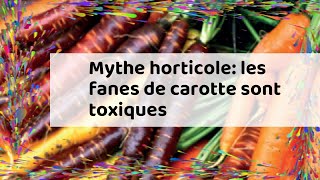 Mythe horticole les fanes de carotte sont toxiques [upl. by Arrak]